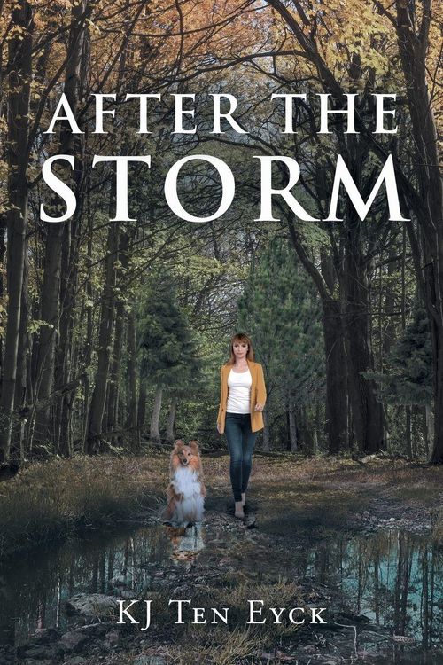 Produktbild: After the Storm