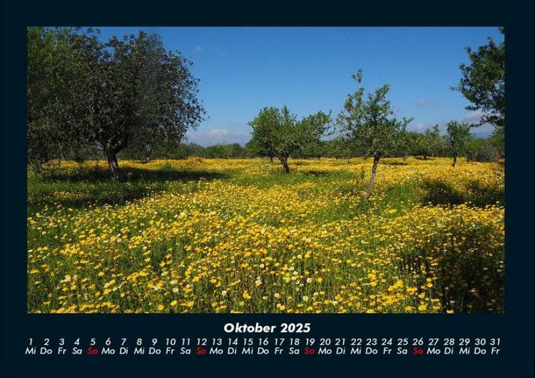 Produktbild: Natur 2025 Fotokalender DIN A4