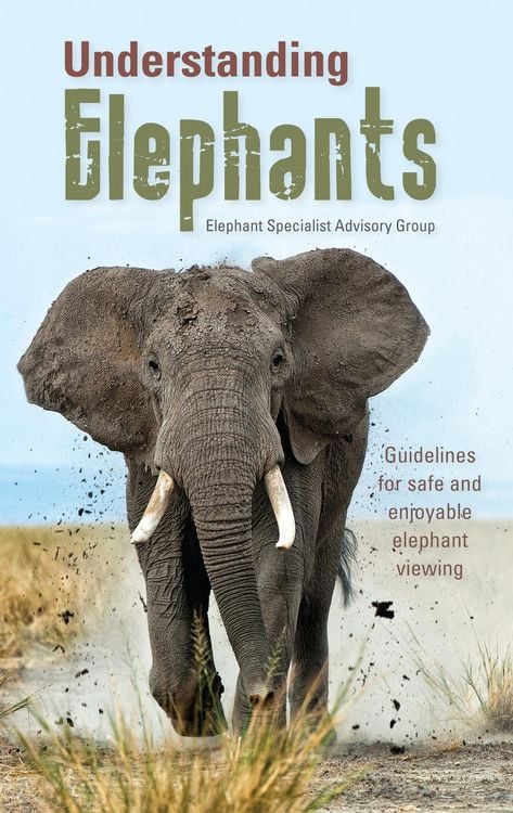 Produktbild: Understanding elephants