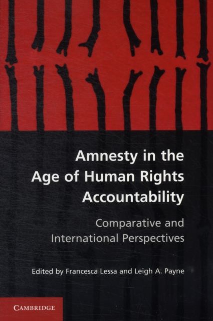 Produktbild: Amnesty in the Age of Human Rights Accountability