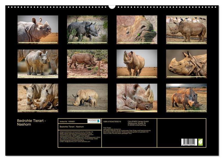 Produktbild: Bedrohte Tierart - Nashorn (Wandkalender 2026 DIN A2 quer), CALVENDO Monatskalender