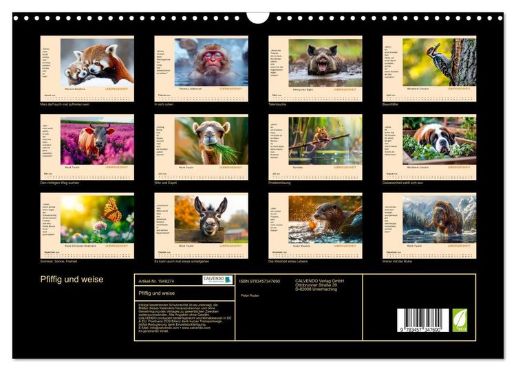 Produktbild: Pfiffig und weise (Wandkalender 2026 DIN A3 quer), CALVENDO Monatskalender