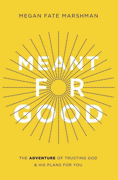 Produktbild: The Meant for Good