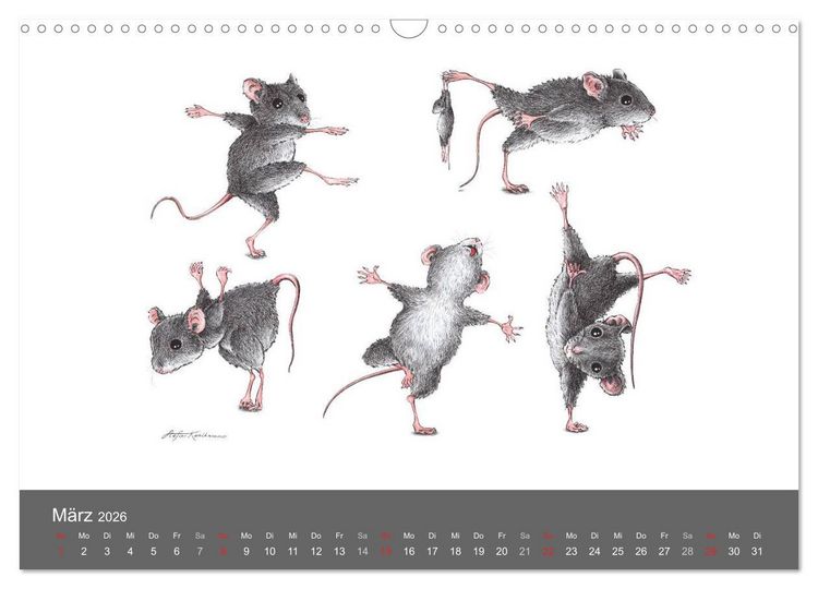 Produktbild: TIERONISCH (Wandkalender 2026 DIN A3 quer), CALVENDO Monatskalender