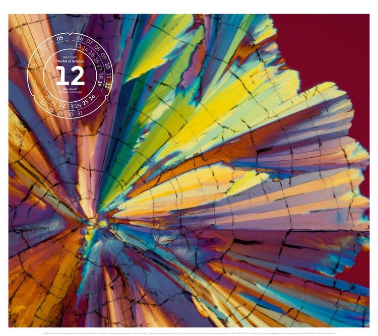 Produktbild: The Art of Science Kalender 2027 | Faszinierend-irisierende Mikroskopkunst