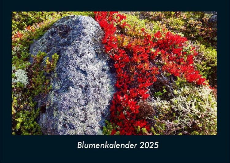 Produktbild: Blumenkalender 2025 Fotokalender DIN A4