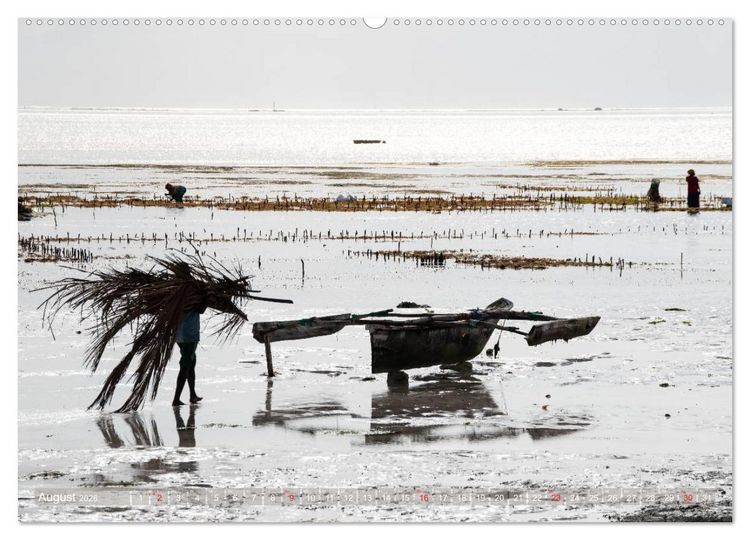 Produktbild: Sansibar - Impressionen von Rolf Dietz (Wandkalender 2026 DIN A2 quer), CALVENDO Monatskalender