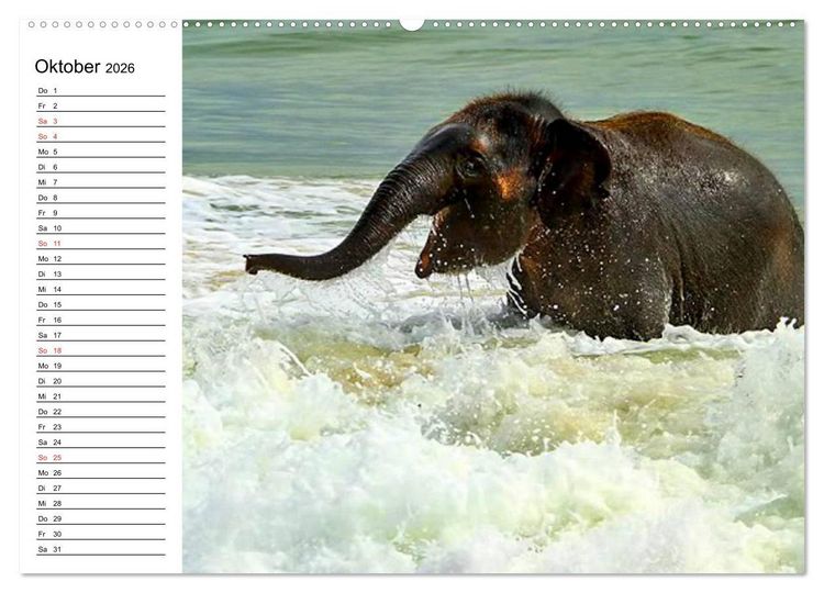 Produktbild: Elefanten - Wasserspa&szlig; am Strand (hochwertiger Premium Wandkalender 2026 DIN A2 quer), Kunstdruck in Hochglanz