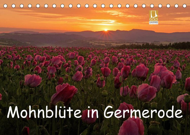 Produktbild: Mohnbl&uuml;te in Germerode (Tischkalender 2022 DIN A5 quer)