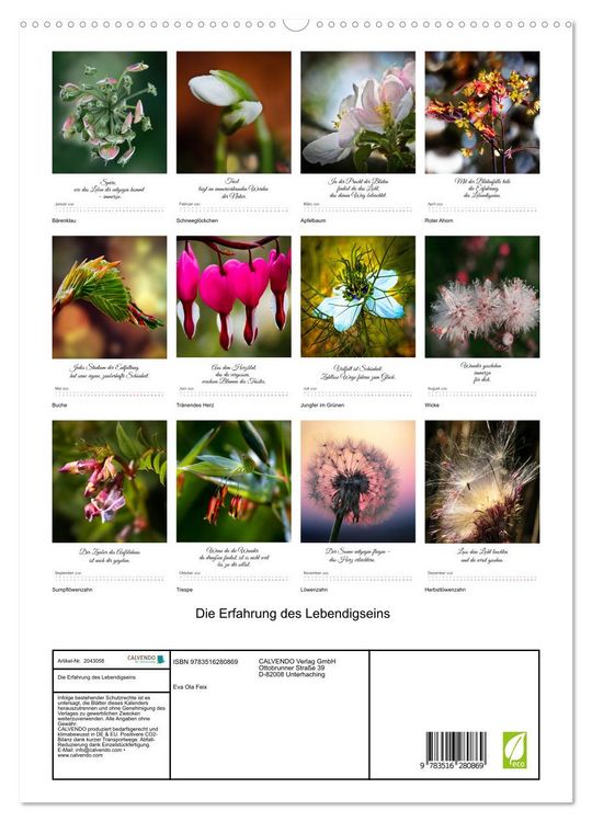 Produktbild: Die Erfahrung des Lebendigseins (hochwertiger Premium Wandkalender 2026 DIN A2 hoch), Kunstdruck in Hochglanz