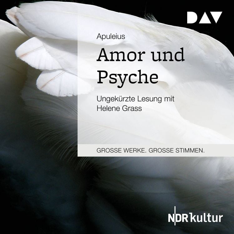 Produktbild: Amor und Psyche