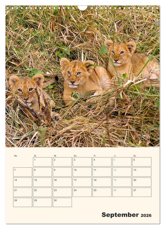 Produktbild: Kenia &ndash; Terminplaner (Wandkalender 2026 DIN A3 hoch), CALVENDO Monatskalender