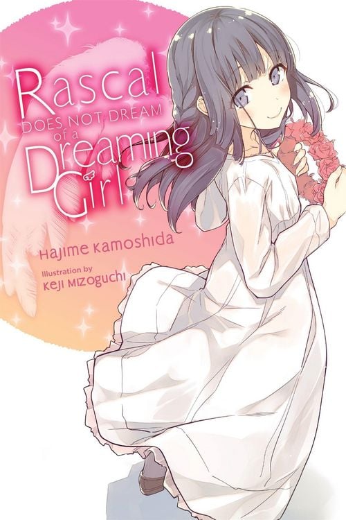 Produktbild: Rascal Does Not Dream of a Dreaming Girl (Light Novel)