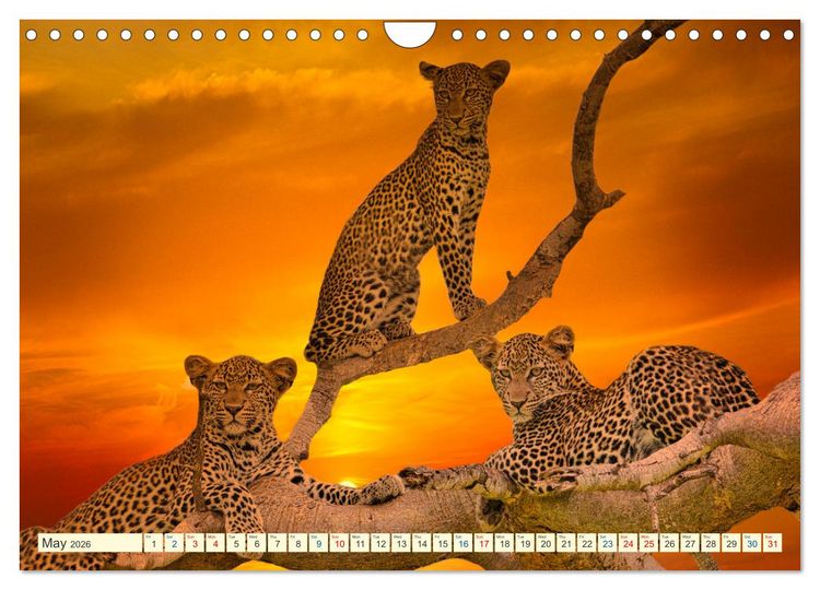 Produktbild: Fantastic Kenya (Wall Calendar 2026 DIN A4 landscape), CALVENDO 12 Month Wall Calendar