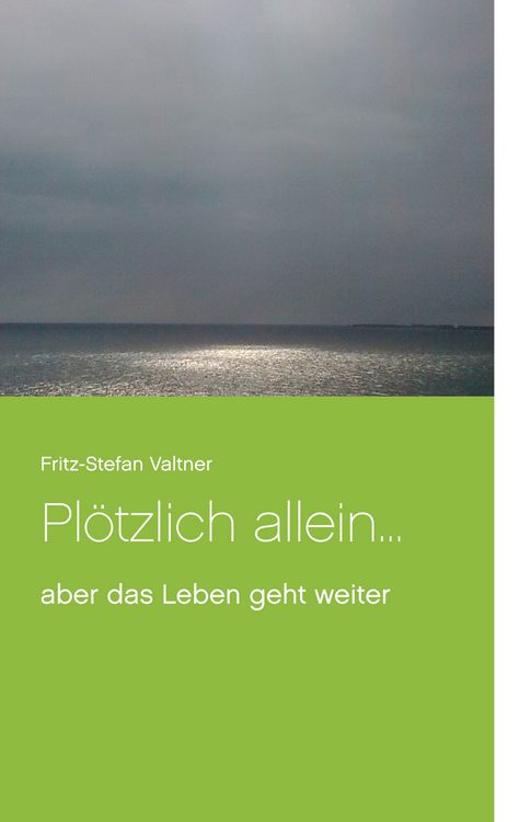 Produktbild: Pl&ouml;tzlich allein ...