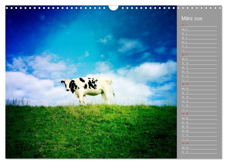 Produktbild: AUF DEM DEICH (Wandkalender 2026 DIN A3 quer), CALVENDO Monatskalender