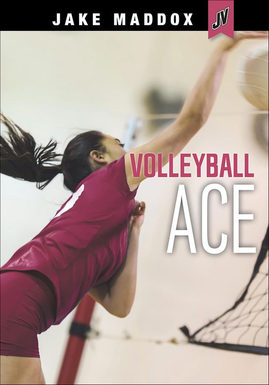 Produktbild: Volleyball Ace