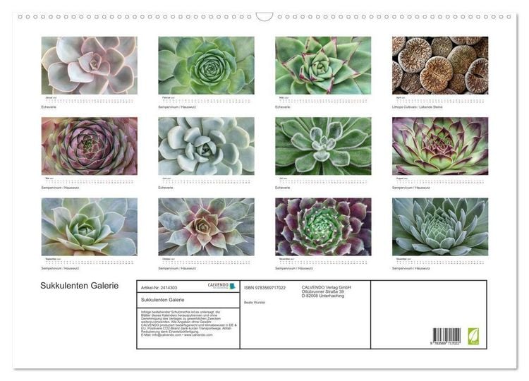 Produktbild: Sukkulenten Galerie (Wandkalender 2027 DIN A2 quer), CALVENDO Monatskalender