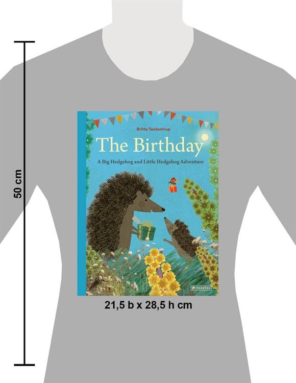 Produktbild: The Birthday: A Big Hedgehog and Little Hedgehog Adventure