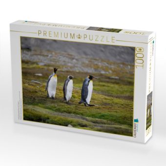 Produktbild: CALVENDO Puzzle K&ouml;nigspinguinp&auml;rchen mit Jungem | 1000 Teile Lege-Gr&ouml;&szlig;e 64x48cm Foto-Puzzle f&uuml;r gl&uuml;ckliche Stunden