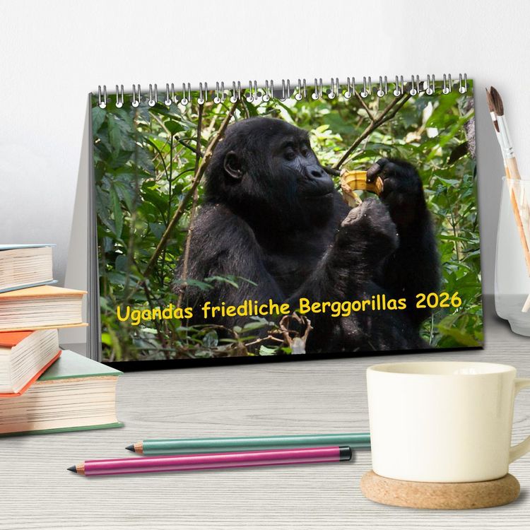 Produktbild: Ugandas friedliche Berggorillas (Tischkalender 2026 DIN A5 quer), CALVENDO Monatskalender