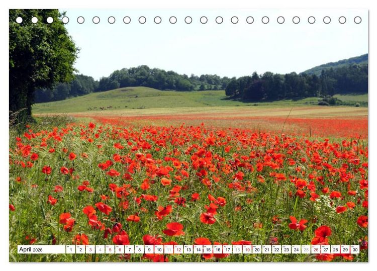 Produktbild: Naturlandschaft Laacher See (Tischkalender 2026 DIN A5 quer), CALVENDO Monatskalender