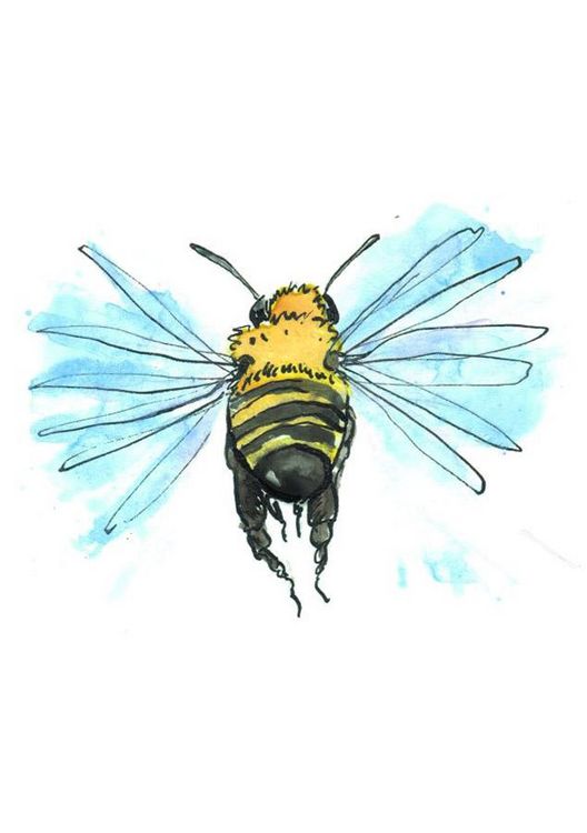 Produktbild: OMG Bees!