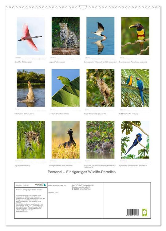 Produktbild: Pantanal &ndash; Einzigartiges Wildlife-Paradies (Wandkalender 2026 DIN A2 hoch), CALVENDO Monatskalender