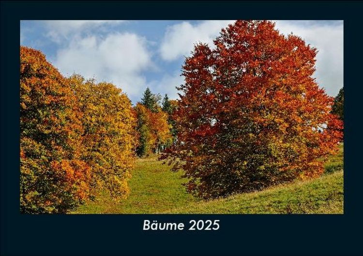 Produktbild: B&auml;ume 2025 Fotokalender DIN A5