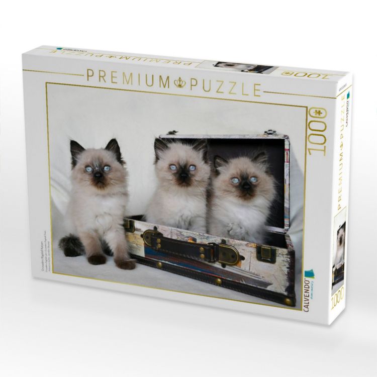 Produktbild: CALVENDO Puzzle Crusaders Ragdoll Katzen | 1000 Teile Lege-Gr&ouml;&szlig;e 64x48cm Foto-Puzzle f&uuml;r gl&uuml;ckliche Stunden