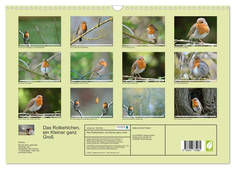 Produktbild: Das Rotkehlchen, ein Kleiner ganz Gro&szlig; (Wandkalender 2026 DIN A3 quer), CALVENDO Monatskalender
