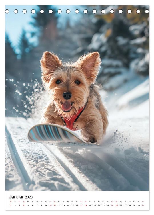 Produktbild: Hunde haben Spa&szlig; (Tischkalender 2026 DIN A5 hoch), CALVENDO Monatskalender