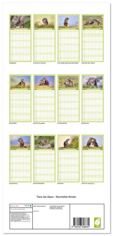 Produktbild: Familienplaner 2026 - Tiere der Alpen - Murmeltier-Kinder mit 5 Spalten (Wandkalender, 21 x 45 cm) CALVENDO