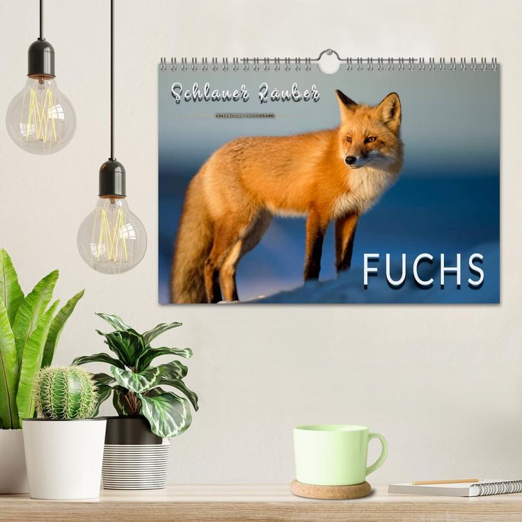Produktbild: Fuchs - schlauer R&auml;uber (Wandkalender 2026 DIN A4 quer), CALVENDO Monatskalender