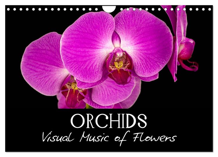 Produktbild: Orchids (Wall Calendar 2026 DIN A4 landscape), CALVENDO 12 Month Wall Calendar