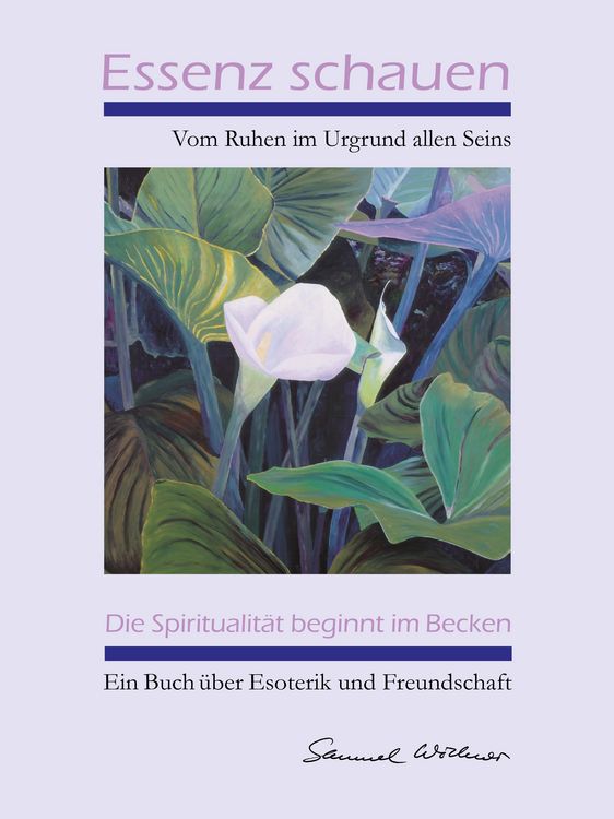 Produktbild: Essenz schauen - Vom Ruhen im Urgrund allen Seins
