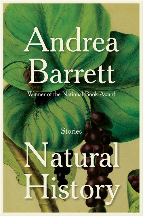 Produktbild: Natural History
