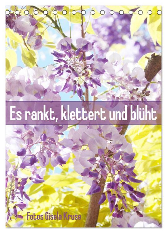 Produktbild: Es rankt, klettert und bl&uuml;ht (Tischkalender 2026 DIN A5 hoch), CALVENDO Monatskalender