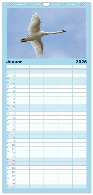 Produktbild: Familienplaner 2026 - V&ouml;gel im Flug - Akrobaten der L&uuml;fte mit 5 Spalten (Wandkalender, 21 x 45 cm) CALVENDO