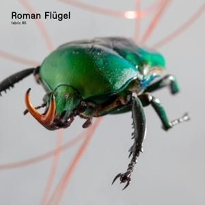 Produktbild: fabric 95: Roman Fl&uuml;gel