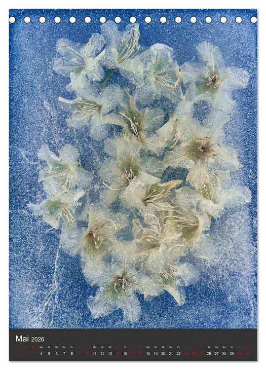 Produktbild: Magische Eisblumen (Tischkalender 2026 DIN A5 hoch), CALVENDO Monatskalender