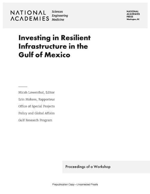 Produktbild: Investing in Resilient Infrastructure in the Gulf of Mexico