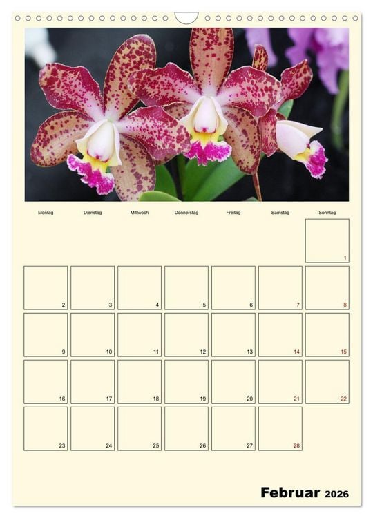 Produktbild: Orchideentr&auml;ume (Wandkalender 2026 DIN A3 hoch), CALVENDO Monatskalender