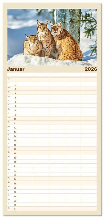 Produktbild: Familienplaner 2026 - Arber, Rachel und Lusen: Der Hintere Bayerische Wald mit 5 Spalten (Wandkalender, 21 x 45 cm) CALVENDO