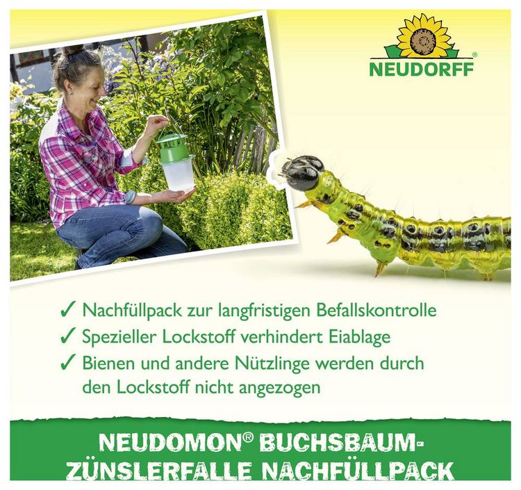 Produktbild: Neudorff 03031 Buchsbaumz&uuml;nsler-Falle Lockstoff 1St.