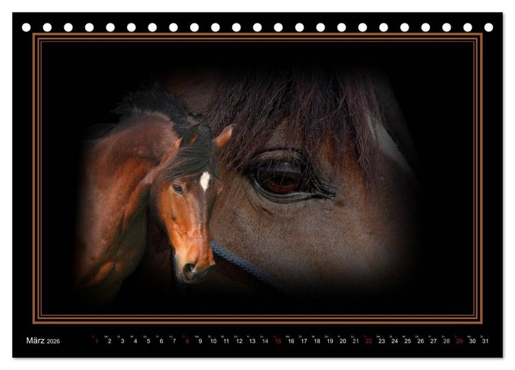 Produktbild: Traumpferde-ART-Collection (Tischkalender 2026 DIN A5 quer), CALVENDO Monatskalender