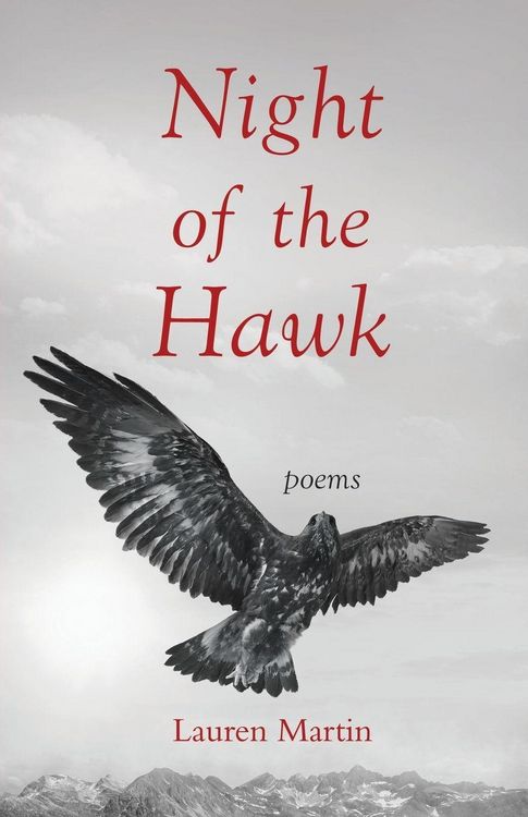 Produktbild: Night of the Hawk