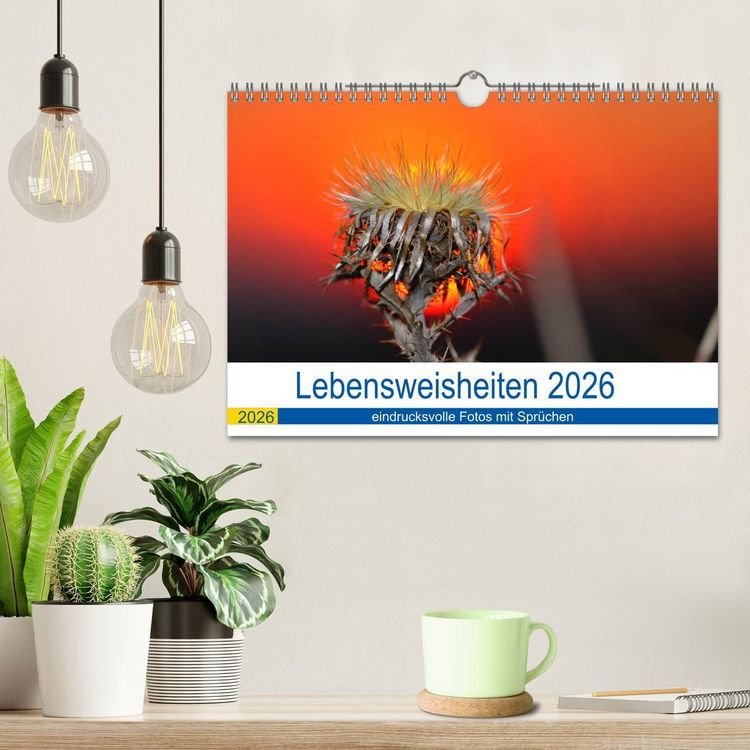 Produktbild: Lebensweisheiten 2026 (Wandkalender 2026 DIN A4 quer), CALVENDO Monatskalender