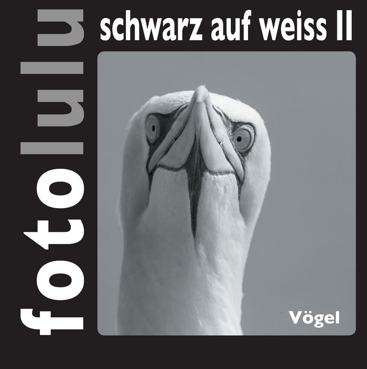 Produktbild: Fotolulu schwarz auf weiss II