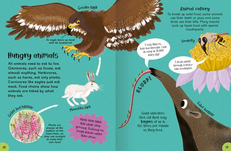 Produktbild: Encyclopedia of Incredible Things